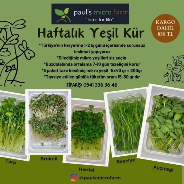 Paket toplamda 5x40 gr= 200 gr mikro yeşil içerir. 1-2 kişinin haftalık tüketimine yetecek kadar hesaplanmıştır. Ürünler sipariş üzerine taze kesilerek paketlenir ve strafor kutuda buz aküsü ile soğuk bir yolculuğa çıkarak size ulaşır. Buzdolabında 7-10 güne kadar tazeliğini korur.Paket içeriği;200 gr Mikro yeşil+Strafor kutu+Buz Aküsü Fiyat: Kargo dahil 850 TLThe package contains 5x40g = 200g micro greens in total. It is calculated as enough for the weekly consumption of 1-2 people. The products are freshly cut and packaged upon order and delivered to you on a cold journey in a styrofoam box with an ice battery. They can stay fresh in the refrigerator for up to 7-10 days. Package contents200 gr Micro green+Styrofoam box+Ice Battery Price: 850 TL including delivery#mikroyeşil #microgreen #filiz #sprout #sağlıklıbeslenme #healthyliving #vitamin #mineral #sulphoraphane #sulforafan #aminoacid #aminoasit #antioksidan #antioxidants #carotenoids #karotenoid #vegan #veganfood #yerel #local #bodrum#chefs #chef #cheflife #food #cooking #gurme