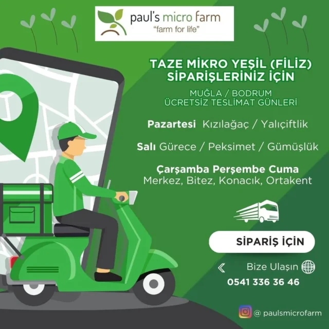 Paul's Micro Farm Muğla'nın Bodrum ilçesinde sürdürülebilir dikey tarım teknikleri kullanarak mikro yeşil (filiz) üretimi yapan bir aile şirketidir. Mikro yeşillikler şüphesiz gıda tüketiminde  en sağlıklı sebzelerin başında gelmektedir.Temel olarak yenilebilir sebze, baklagil ve otların filizleridir. Brokoli, lahana, pancar, turp, bezelye gibi çeşitli sebze tohumlarının hiçbir katkı maddesi kullanılmadan, besin kaynağını direk tohumdan aldığı için sebzenin erişkin versiyonlarına göre daha fazla besinle doludurlar ve 10 - 14 günde hasat edilebilirler.Başta salatalar, yemekler, tatlılar ve smoothilerde büyük bir aroma ve görsel şölen yumağı haline gelmiştir...Paul's Micro Farm is a family company that produces microgreens (sprout) using sustainable vertical farming techniques in Muğla's Bodrum district.Microgreens are undoubtedly one of the healthiest vegetables in food consumption.They are basically the sprouts of edible vegetables, legumes and herbs. Since various vegetable seeds such as broccoli, cabbage, beet, radish and pea receive their nutritional source directly from the seed without using any additives, they are full of more nutrients than the adult versions of the vegetable and can be harvested in 10 - 14 days.It has become a great ball of aroma and visual feast, especially in salads, meals, desserts and smoothies.#mikroyeşil #microgreen #filiz #sprout #sağlıklıbeslenme #healthyliving #vitamin #mineral #sulphoraphane #sulforafan #aminoacid #aminoasit #antioksidan #antioxidants #carotenoids #karotenoid #vegan #veganfood #yerel #local #bodrum#chefs #chef #cheflife #food #cooking #gurme