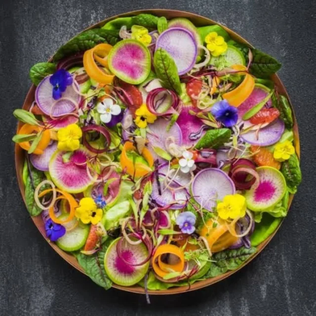 Mikroyeşil Salatalar & SandviçlerMicrogreen Salads & Sandwiches#mikroyeşil #microgreen #filiz #sprout #sağlıklıbeslenme #healthyliving #vitamin #mineral #sulphoraphane #sulforafan #aminoacid #aminoasit #antioksidan #antioxidants #carotenoids #karotenoid #vegan #veganfood #yerel #local #bodrum#chefs #chef #cheflife #food #cooking #gurme