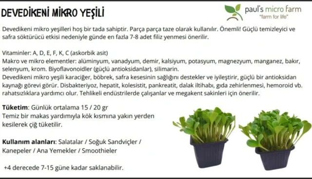 #mikroyeşil #microgreen #filiz #sprout #sağlıklıbeslenme #healthyliving #vitamin #mineral #sulphoraphane #sulforafan #aminoacid #aminoasit #antioksidan #antioxidants #carotenoids #karotenoid #vegan #veganfood #yerel #local #bodrum#chefs #chef #cheflife #food #cooking #gurme