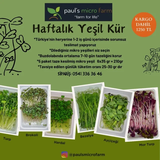 #mikroyeşil #microgreen #filiz #sprout #sağlıklıbeslenme #healthyliving #vitamin #mineral #sulphoraphane #sulforafan #aminoacid #aminoasit #antioksidan #antioxidants #carotenoids #karotenoid #vegan #veganfood #yerel #local #bodrum#chefs #chef #cheflife #food #cooking #gurmePaket toplamda 6x35 gr= 210 gr  mikro yeşil içerir. 1-2 kişinin haftalık tüketimine yetecek kadar hesaplanmıştır. Ürünler sipariş üzerine taze kesilerek strafor kutu ve buz akusü ile paketlenir ve  size ulaşır. Buzdolabında 7-10 güne kadar tazeliğini korur.Fiyat: Kargo dahil 1250 TL